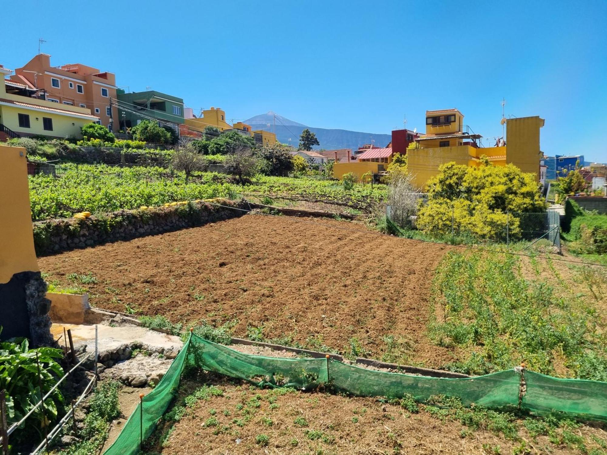 Vivienda Vacacional Ca Na Paula La Orotava Dış mekan fotoğraf